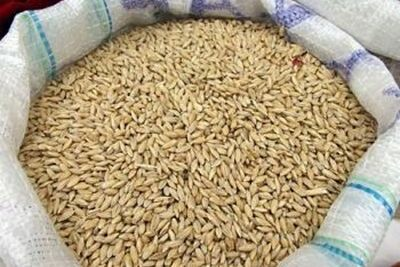 Полипропиленовые мешки и биг бэги для пшеницы в Чебоксарах